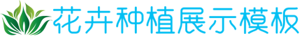 大奖国际地址,大奖国际手机版
